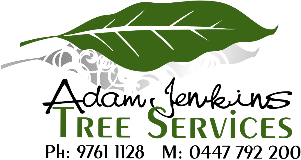 Adam Jenkins Tree Services